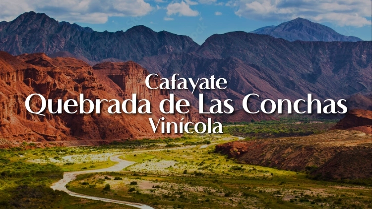 Cafayate, Quebrada de Las Conchas e Vin&iacute;cola